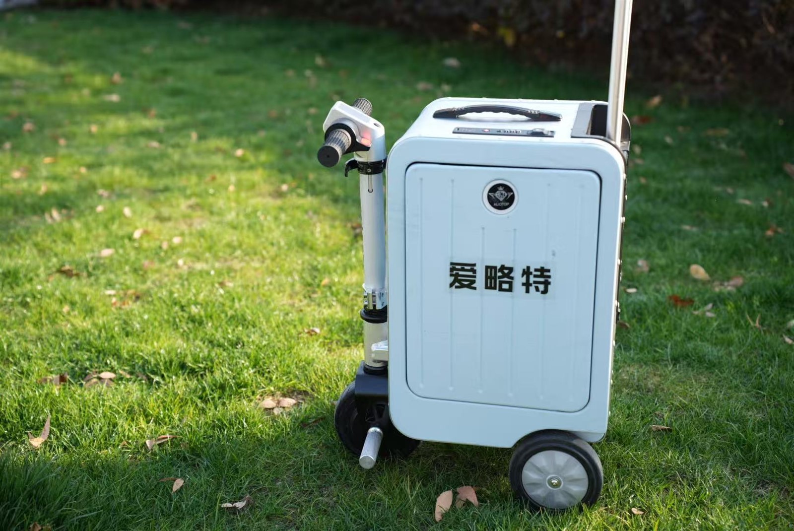 news-1616-1080 news-1616-1080